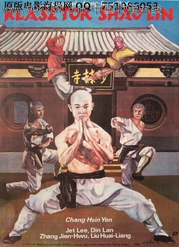 仿制假印度护照电子版